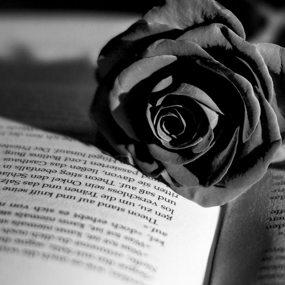 Discovering The Hidden Truths About Black The Color Of Elegance